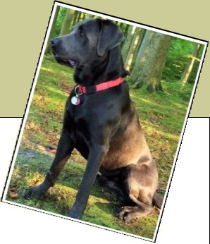 Bild : Don